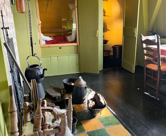 Maaike your local tourguide  wearing Dutch wooden shoes. Windmill, Tulips, Cheese, Zaanse Schans, Keukenhof, Volendam, Marken, Alkmaar.