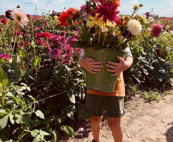 Maaike your local tourguide  wearing Dutch wooden shoes. Windmill, Tulips, Cheese, Zaanse Schans, Keukenhof, Volendam, Marken, Alkmaar.