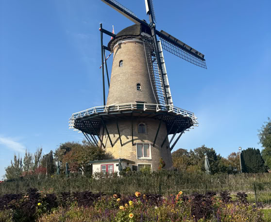 Maaike your local tourguide  wearing Dutch wooden shoes. Windmill, Tulips, Cheese, Zaanse Schans, Keukenhof, Volendam, Marken, Alkmaar.