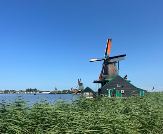 Maaike your local tourguide  wearing Dutch wooden shoes. Windmill, Tulips, Cheese, Zaanse Schans, Keukenhof, Volendam, Marken, Alkmaar.