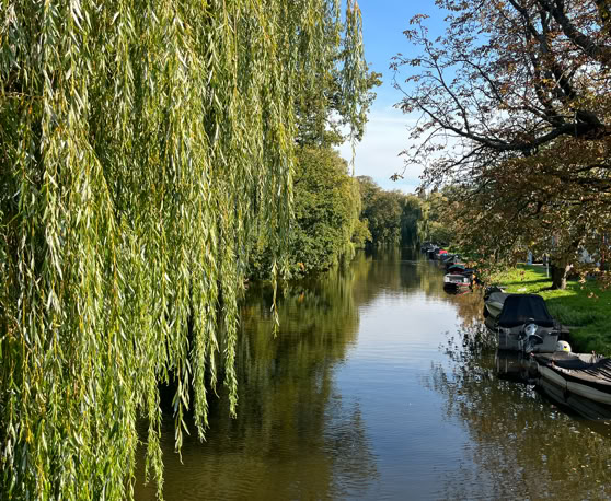 Maaike your local tourguide  wearing Dutch wooden shoes. Windmill, Tulips, Cheese, Zaanse Schans, Keukenhof, Volendam, Marken, Alkmaar.