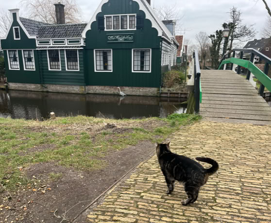 Maaike your local tourguide  wearing Dutch wooden shoes. Windmill, Tulips, Cheese, Zaanse Schans, Keukenhof, Volendam, Marken, Alkmaar.