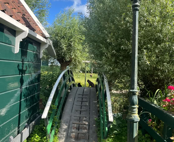 Maaike your local tourguide  wearing Dutch wooden shoes. Windmill, Tulips, Cheese, Zaanse Schans, Keukenhof, Volendam, Marken, Alkmaar.