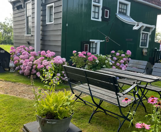 Maaike your local tourguide  wearing Dutch wooden shoes. Windmill, Tulips, Cheese, Zaanse Schans, Keukenhof, Volendam, Marken, Alkmaar.